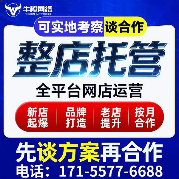 延安电商代运营