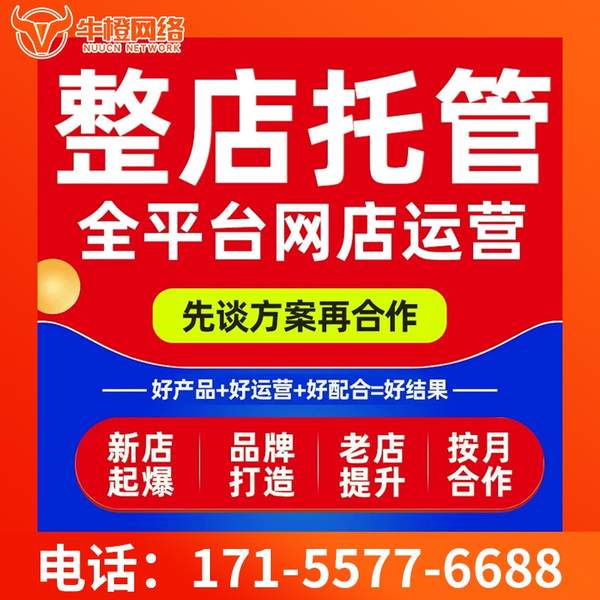 延安电商代运营